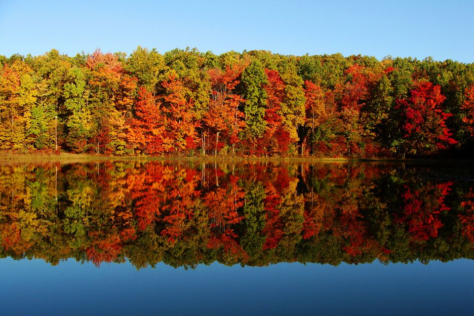 Vibrant autumn foliage reflecting on a calm lake, showcasing a blend of red, orange, and yellow leaves against a clear blue sky, highlighting the beauty of fall scenery.