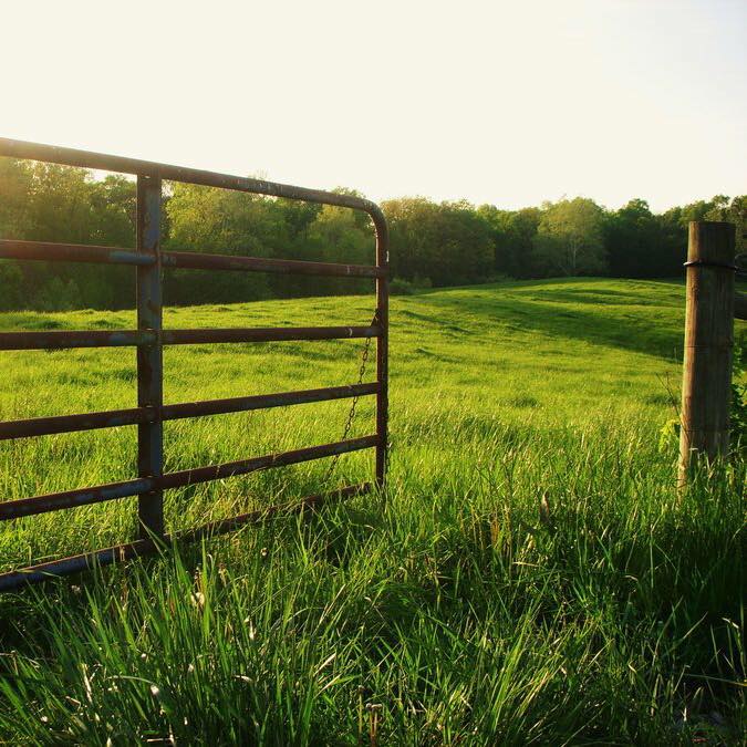 Rusty metal gate opening to a lush green pasture under a bright sky, surrounded by trees, symbolizing rural tranquility and nature.
